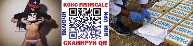 Кокаин Fish Scale  цены   Курчалой 