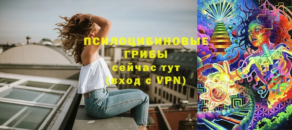 эйфоретик Бородино
