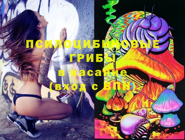 амф Бугульма